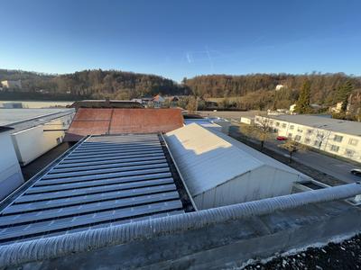 IMG_2586