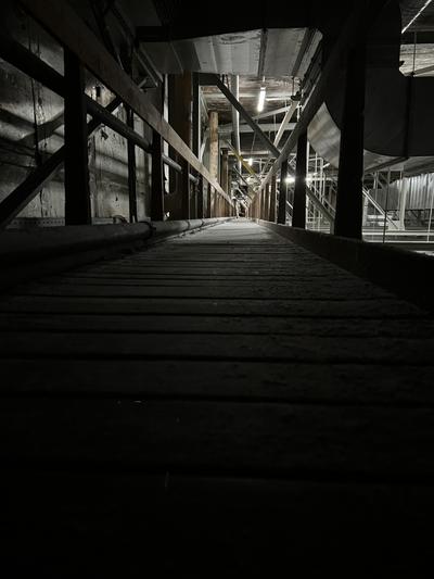 IMG_2651